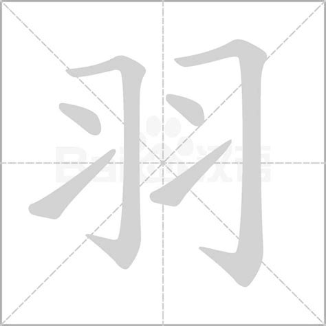 羽 字